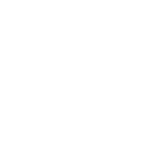 Logo Nuovo-progetto8